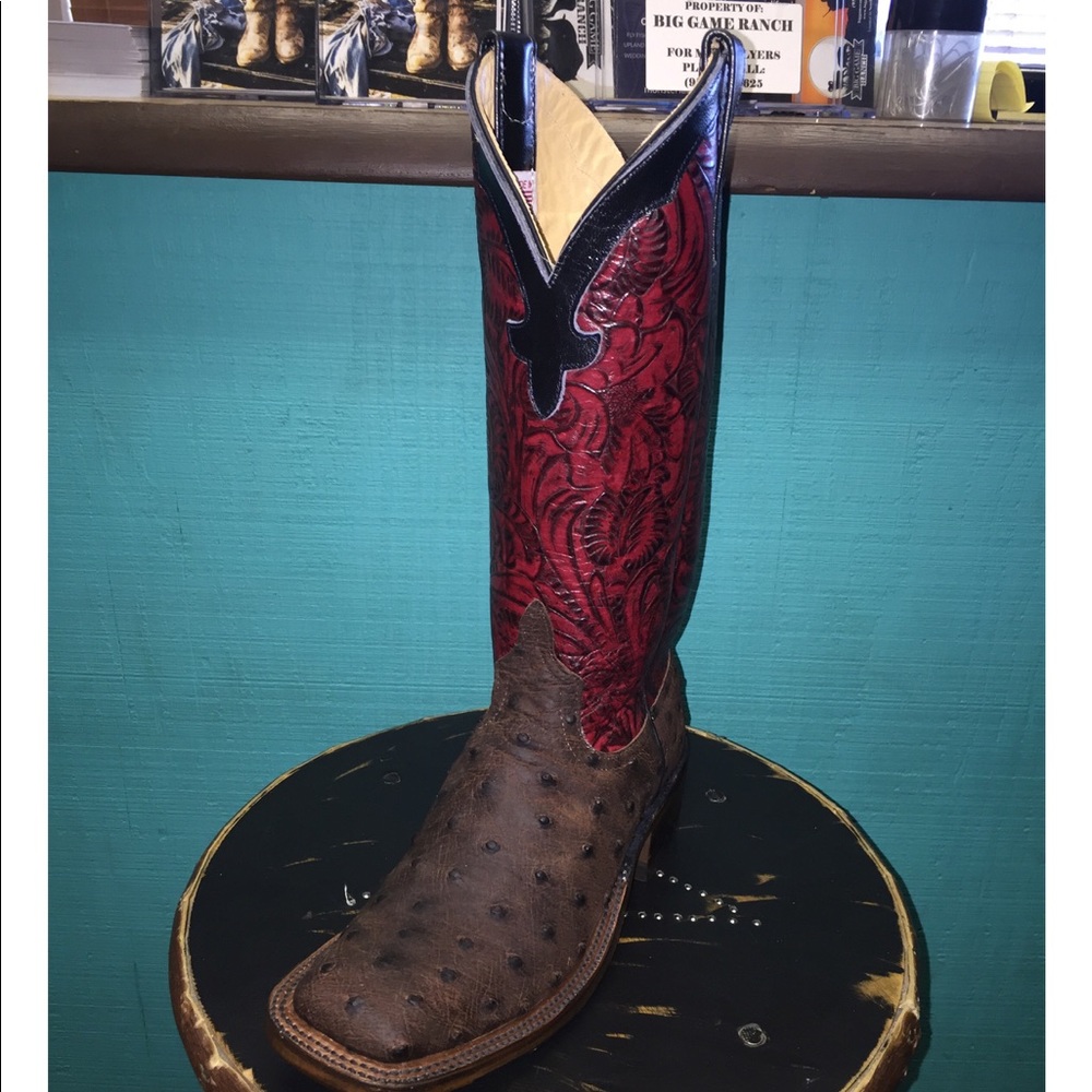 Ostrich Full Quill Anderson Bean